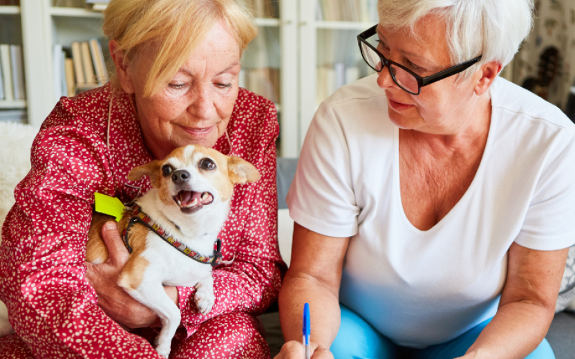 two senior woman discussing something indoors on couch, holding a cute little dog